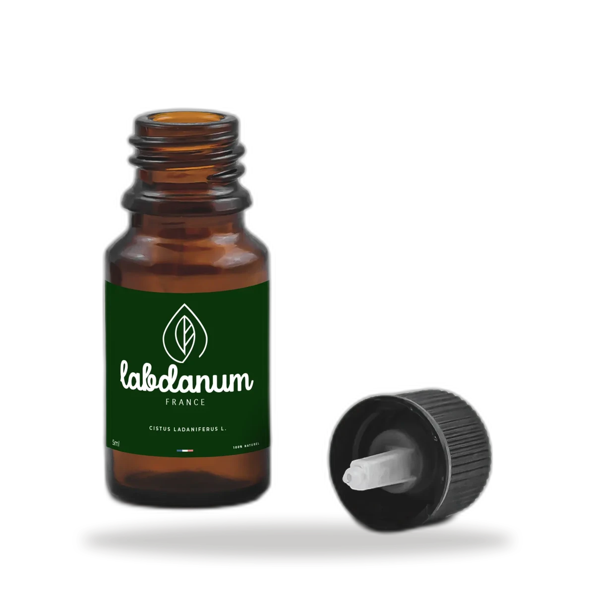 labdanum abs blond – vue 2