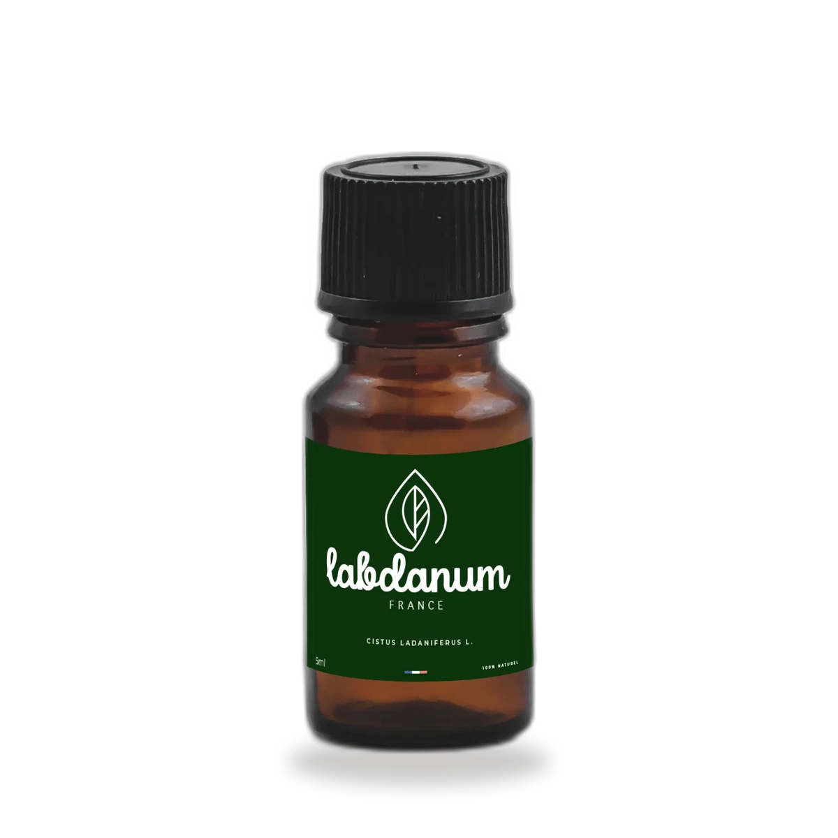labdanum abs blond
